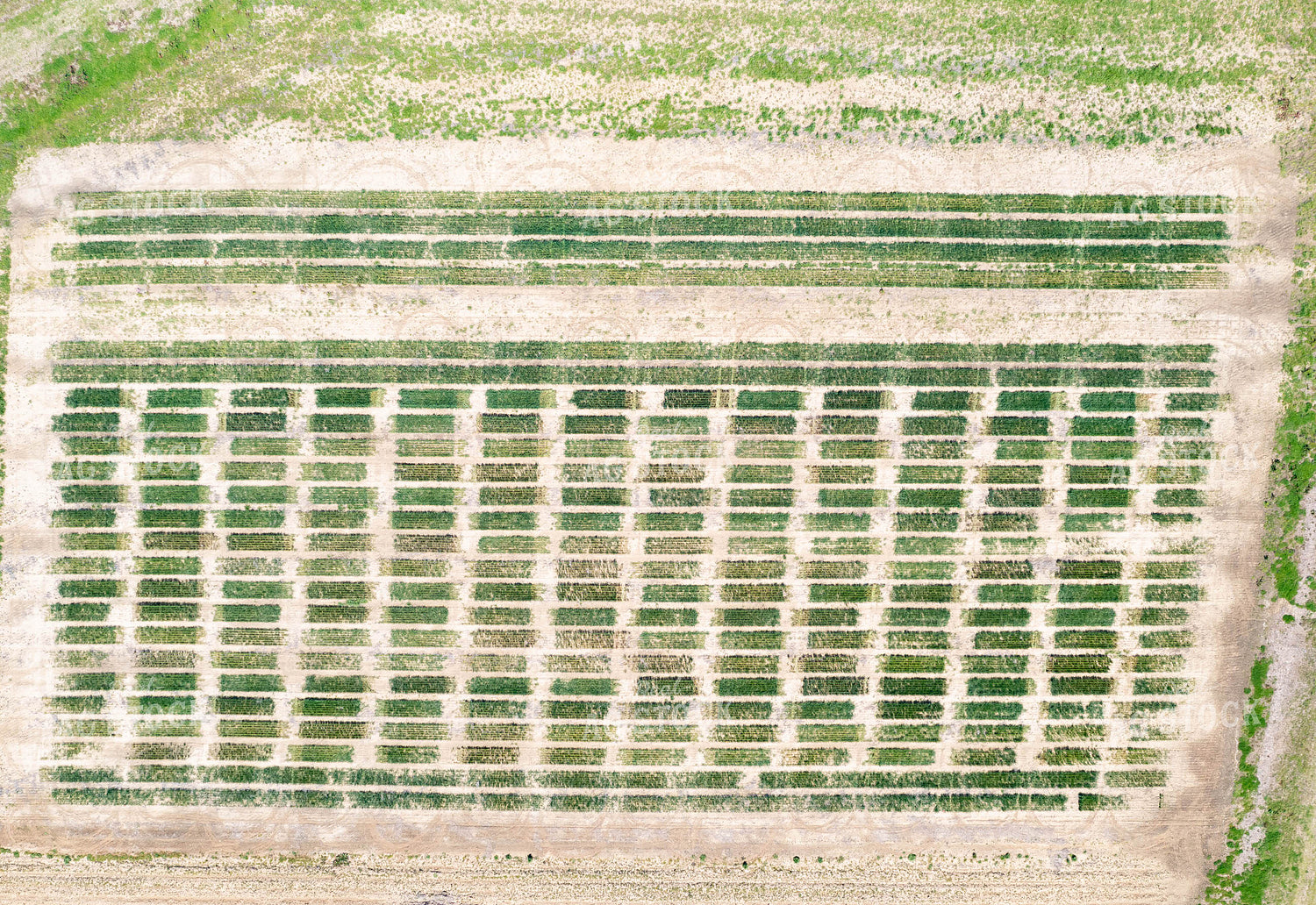 Aerial Plot 79222