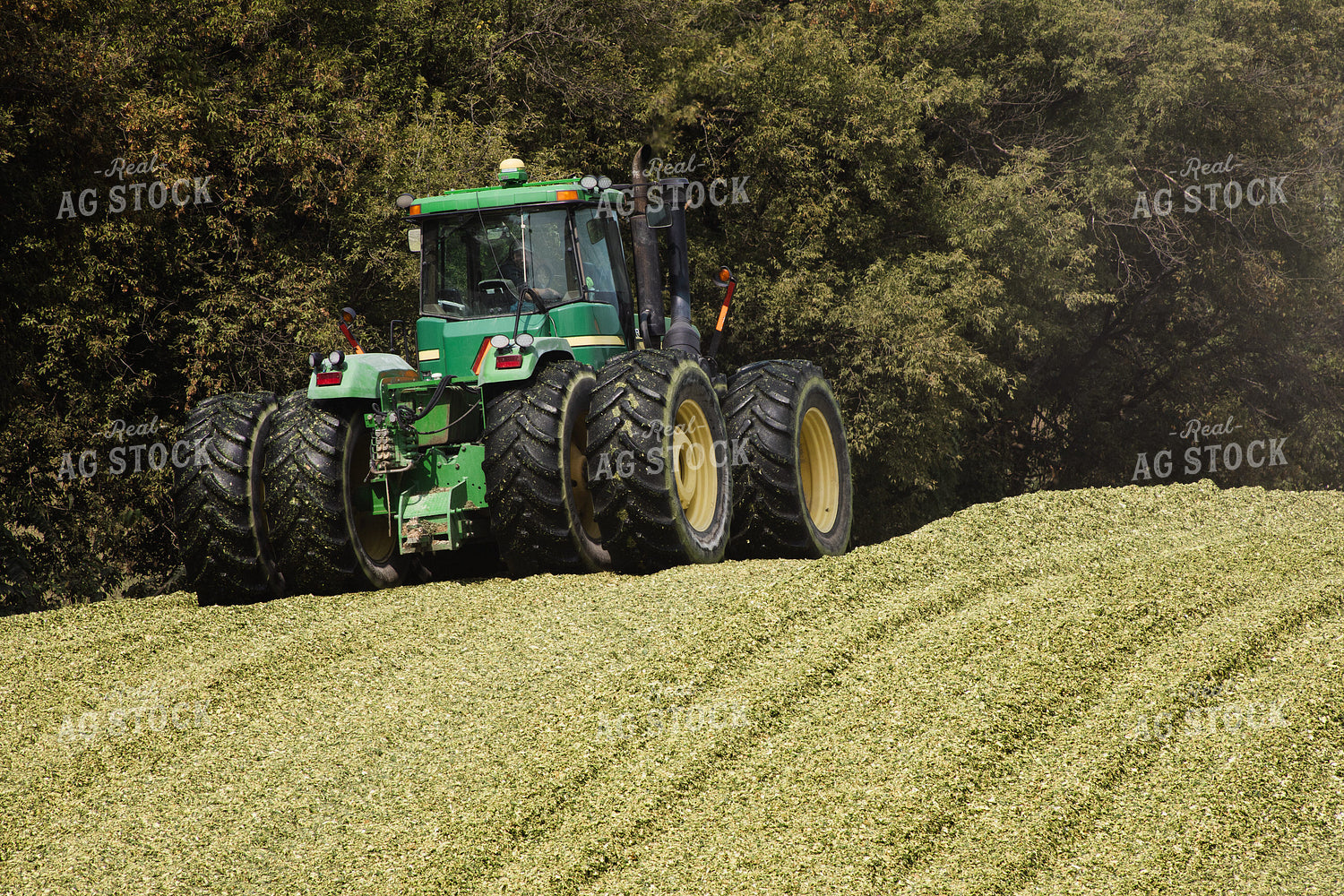 Packing Silage 272005