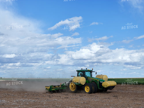 Planting 239167