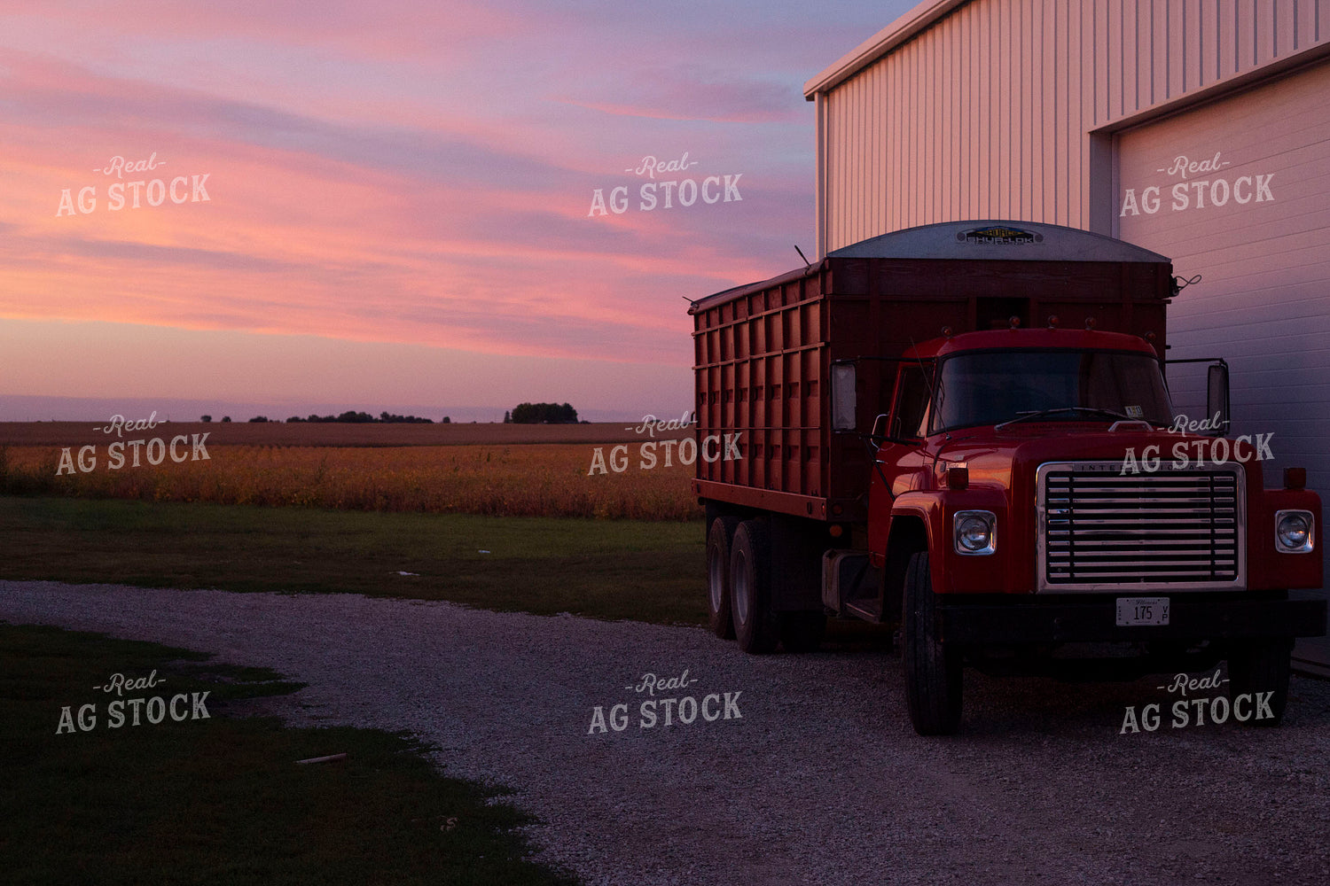 Rural 2036