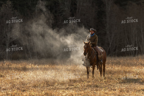 Cowboy on Horseback 188156