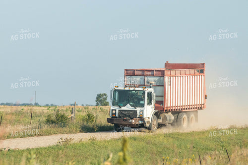 Silage Truck on Gravel Road 72096