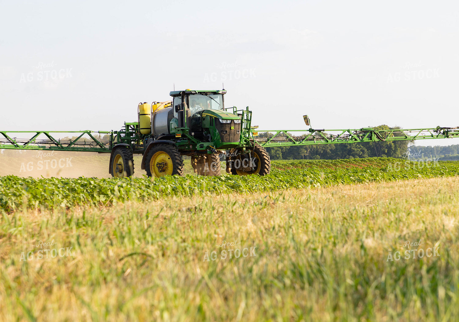 Spraying Cotton 79692