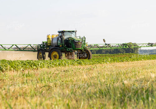 Spraying Cotton 79692
