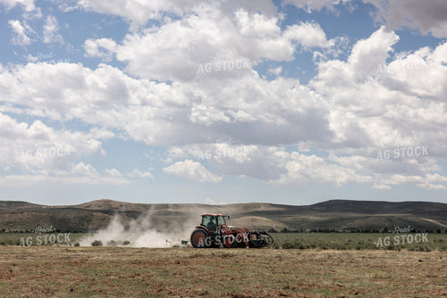 Clearing Brush 304109