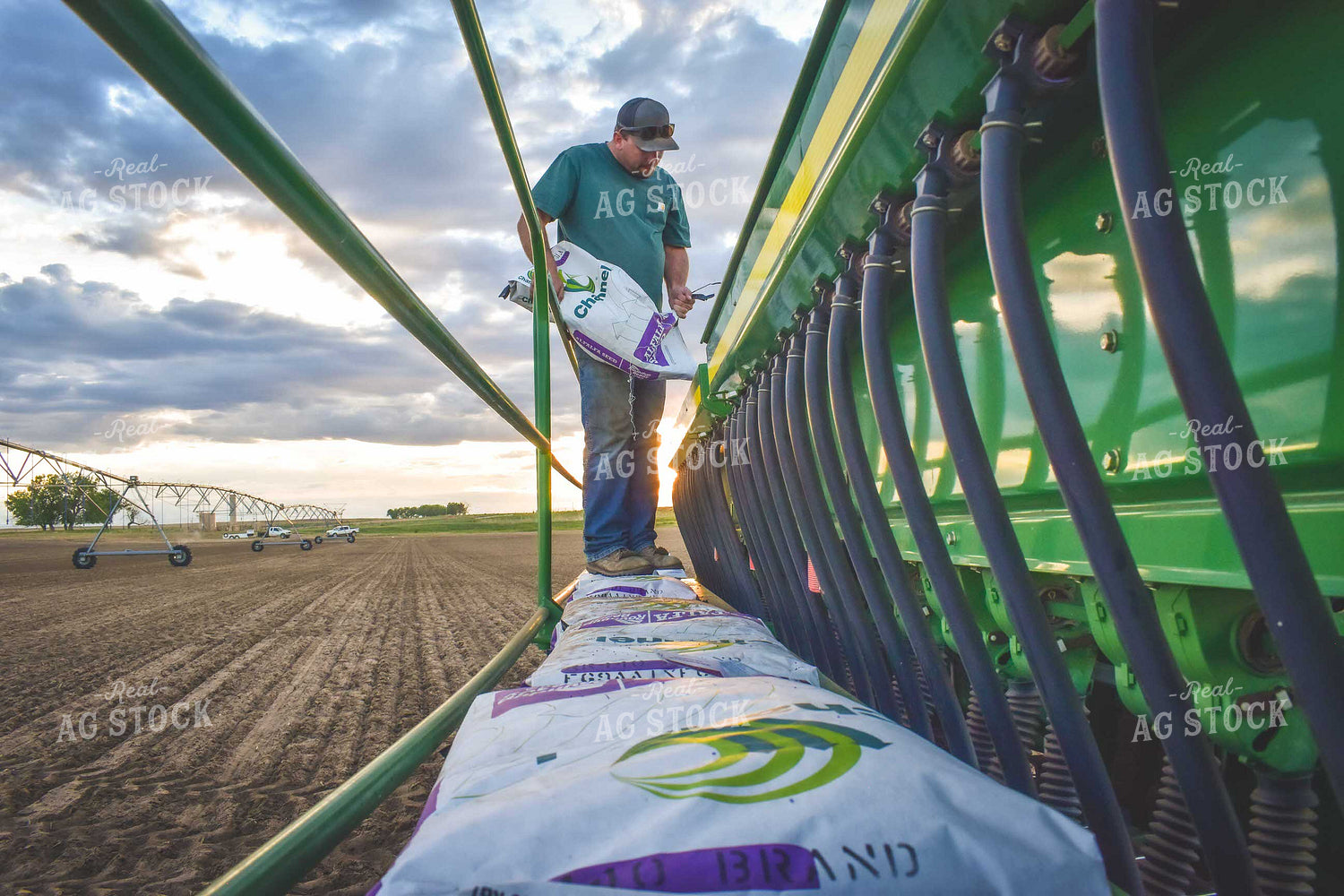 Loading Drill with Alfalfa Seed 56072