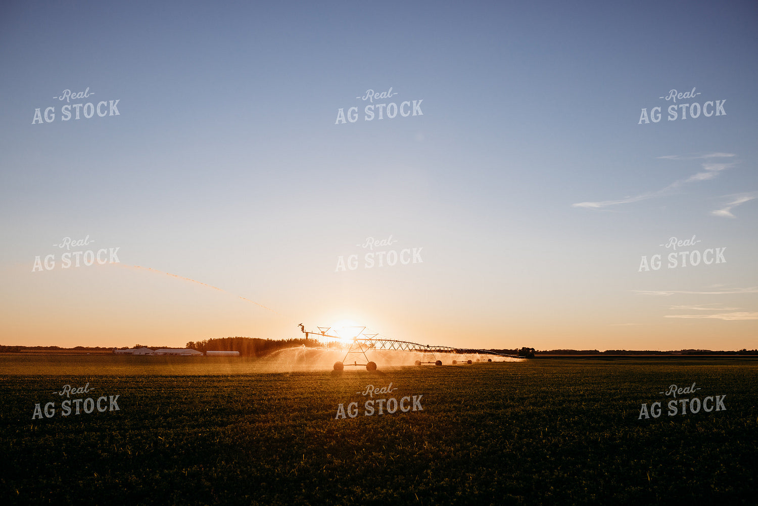 Irrigated Field 152198