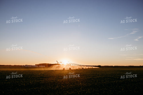 Irrigated Field 152198