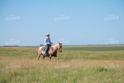 Rancher on Horseback 212118