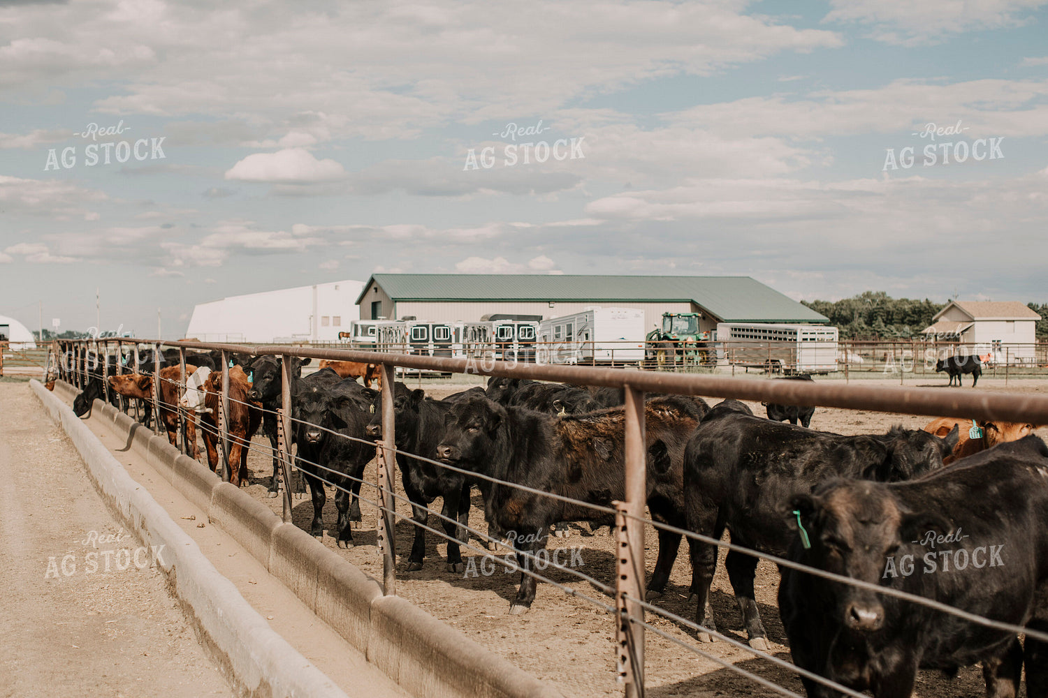 Feedyard 3005