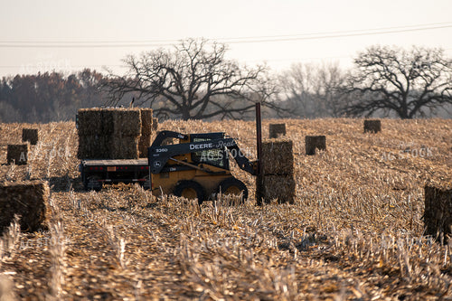 Loading Corn Bales 50454