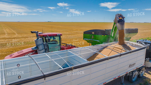 Wheat Harvest 199044