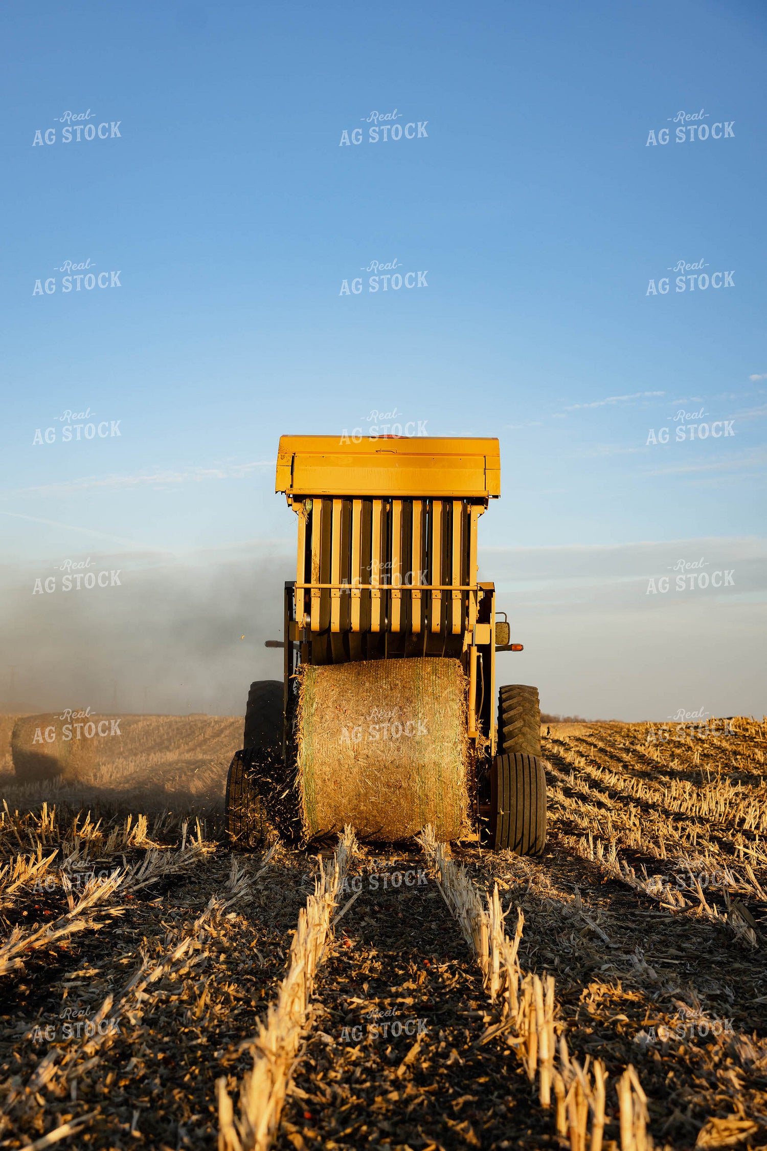 Making Corn Stalk Bales 152367