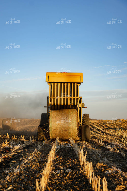 Making Corn Stalk Bales 152367