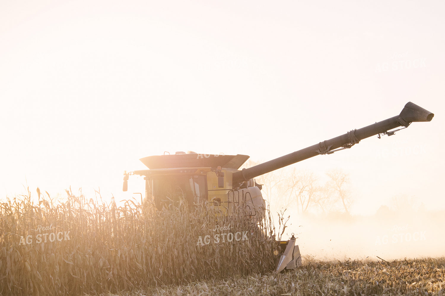 Nebraska Corn Harvest 70035