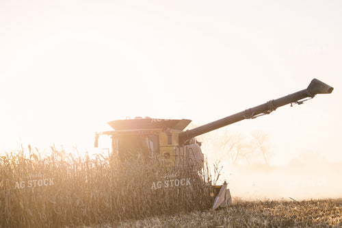 Nebraska Corn Harvest 70035