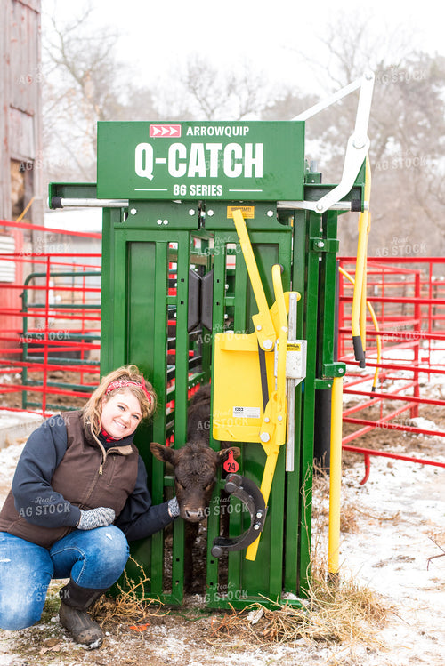 Calf in Chute with Farmer 74067
