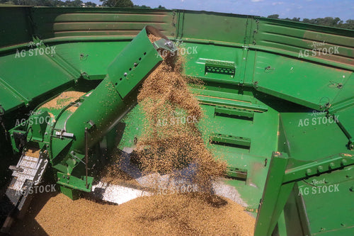 Wheat Filling Combine Hopper 227007
