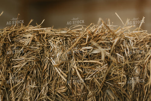 Hay 7870