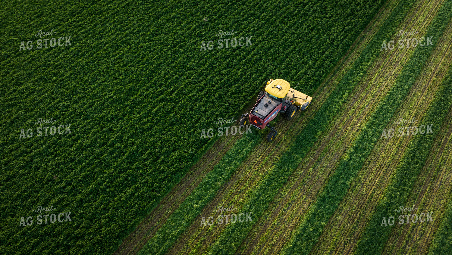 Cutting Alfalfa Hay Drone 56330