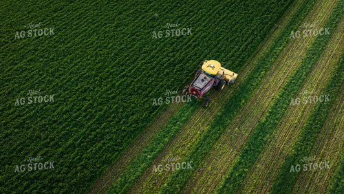 Cutting Alfalfa Hay Drone 56330