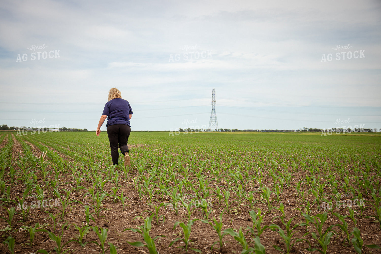 Female Agronomist Scouting Field 67750
