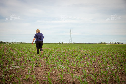 Female Agronomist Scouting Field 67750