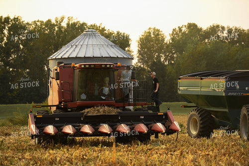 Farm Kids Climbing into Combine 191266