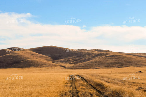 Scenic Pasture 299128