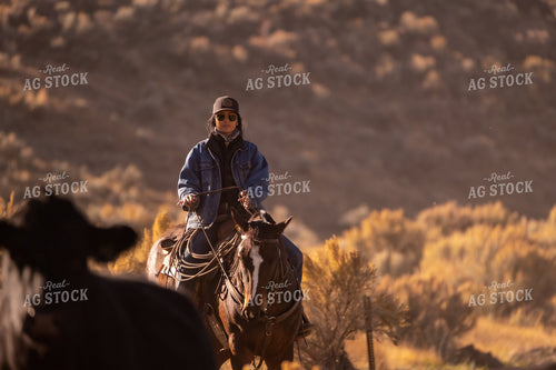 Rancher Herding Cattle on Horseback 163020