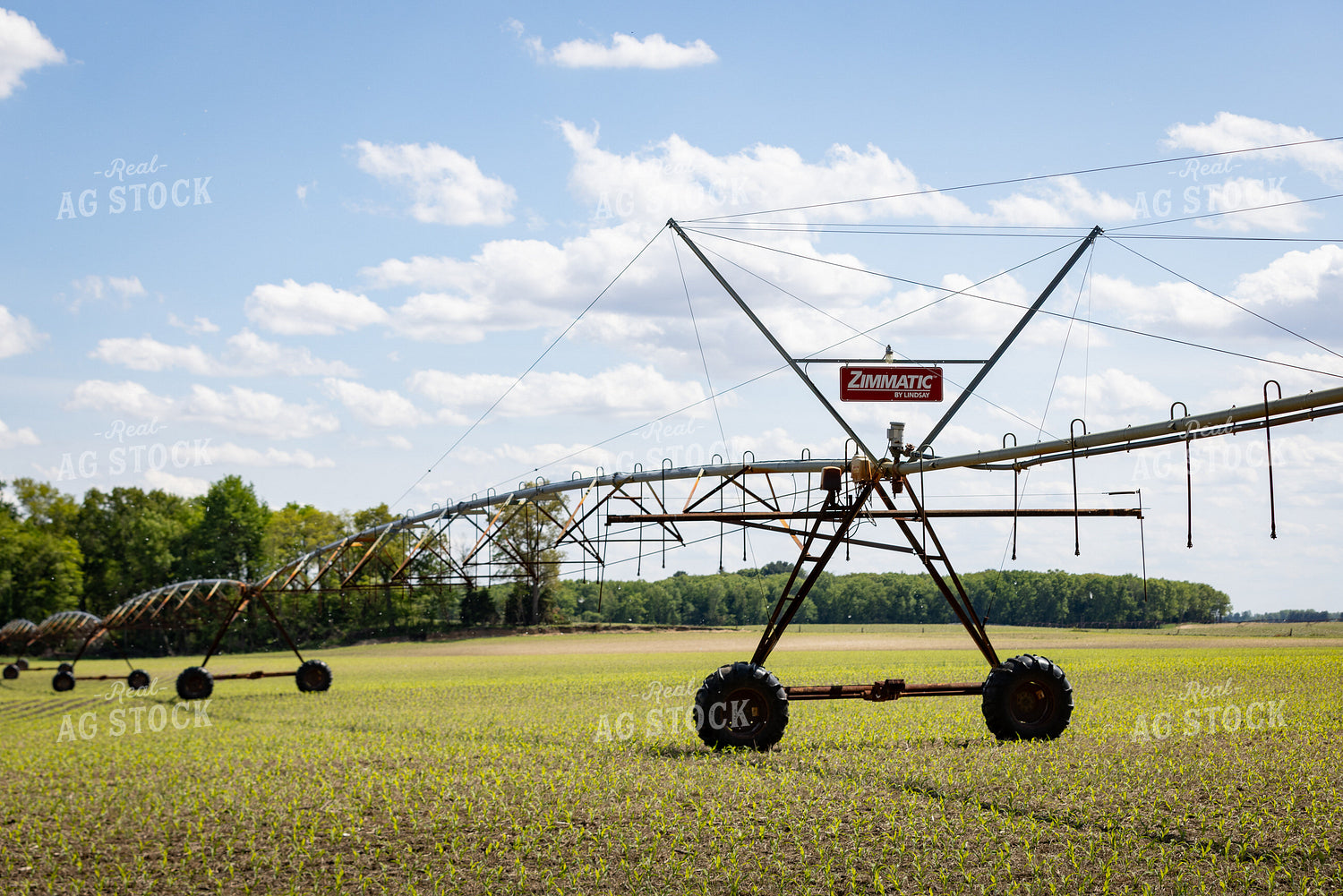 Irrigation System 178115