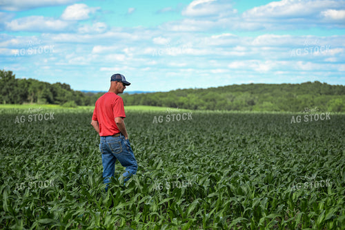 Farmer Scouting Corn Field 191329