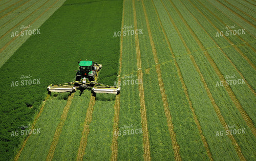 Cutting Alfalfa Hay 56026