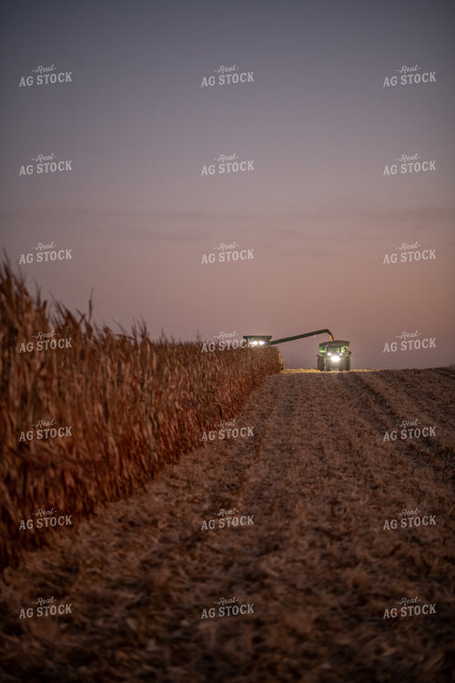 Corn Harvest at Dusk 76343