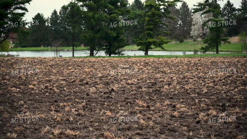 Planting into Tilled Cover Crops - 150