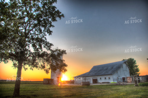 Sunset Scene 250119