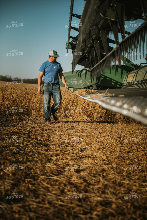 Farmer Inspecting Combine Head 7127