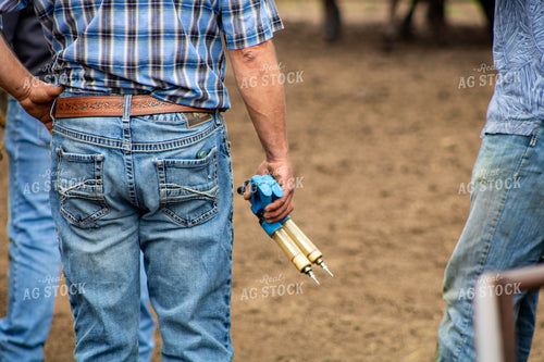 Ranchers Vaccinating Cattle 214177