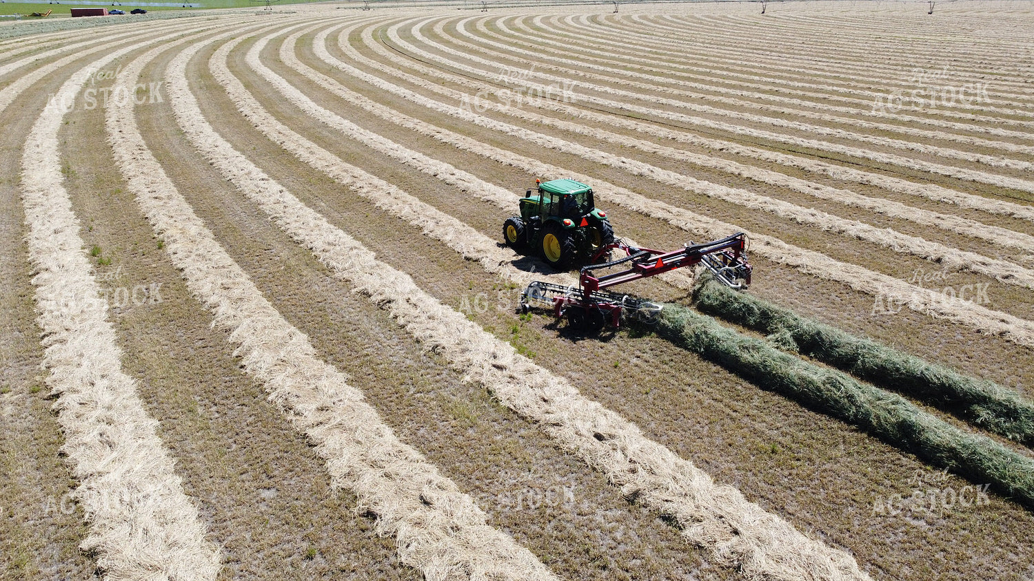 Raking Hay 146022