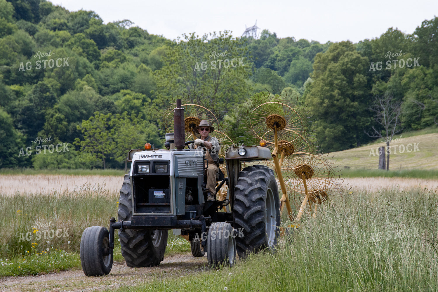 Farmer on Tractor with Hay Rake 52156