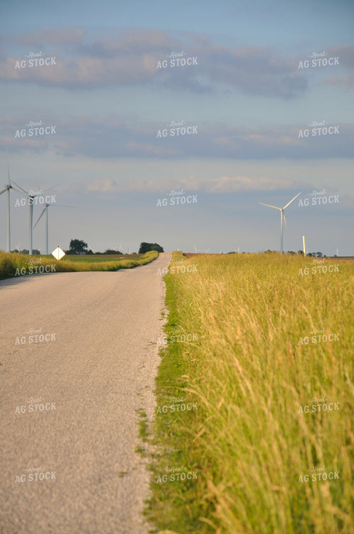 Rural Road 277012