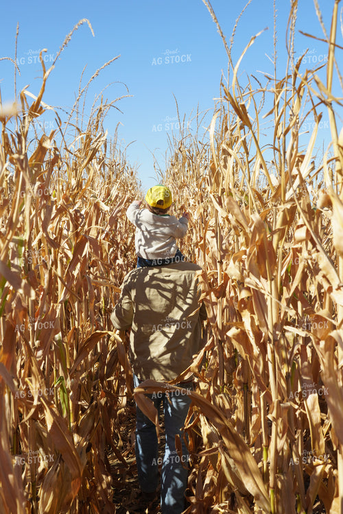 Farmer and Farm Kid in Corn Field 65029