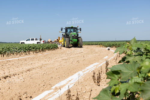 Laying Irrigation 79697