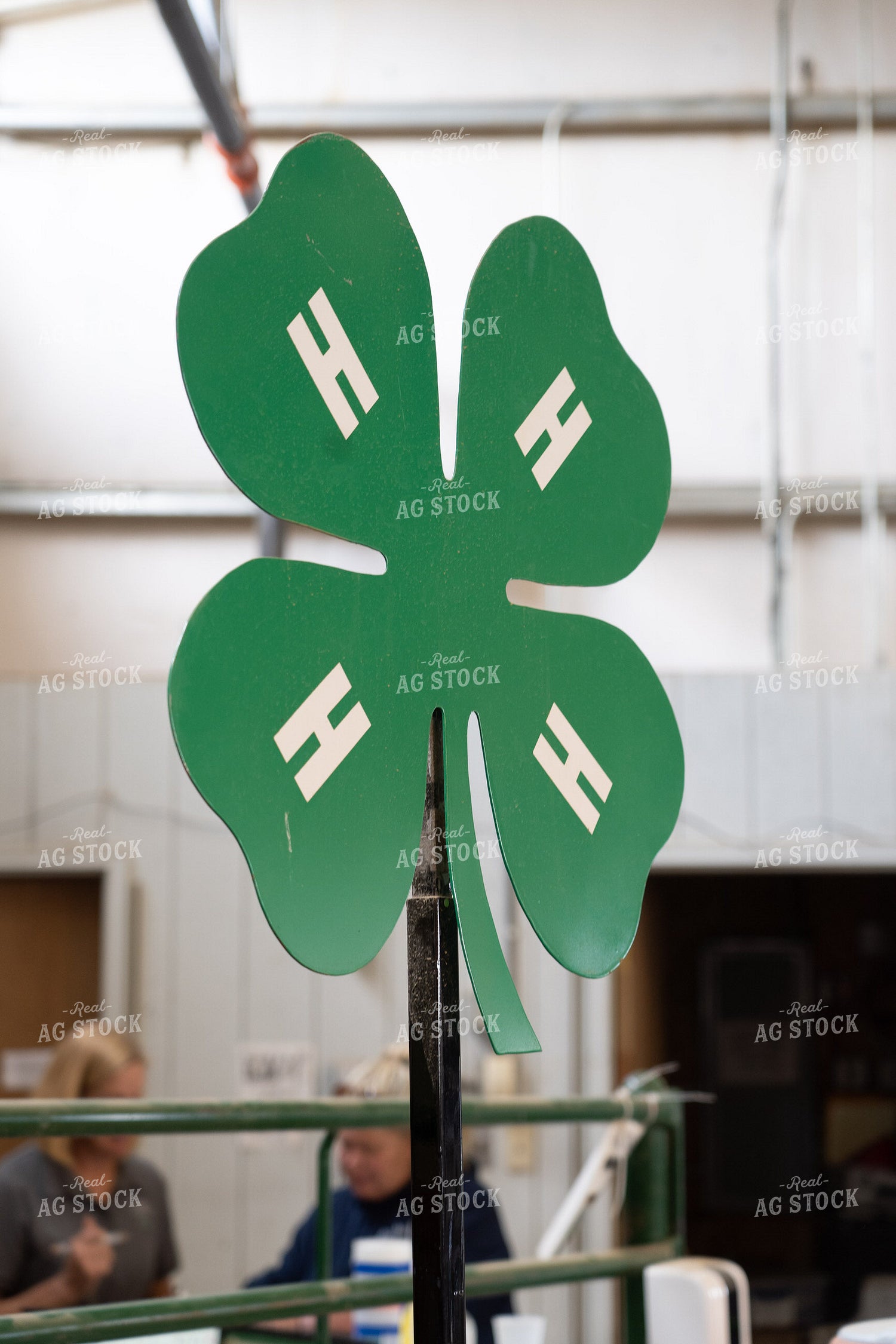 4H Show 58159
