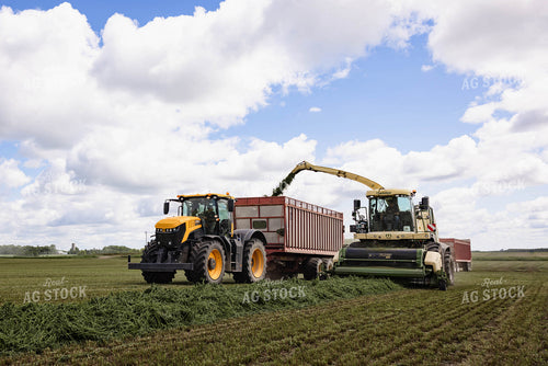 Harvesting Hay Silage 152455