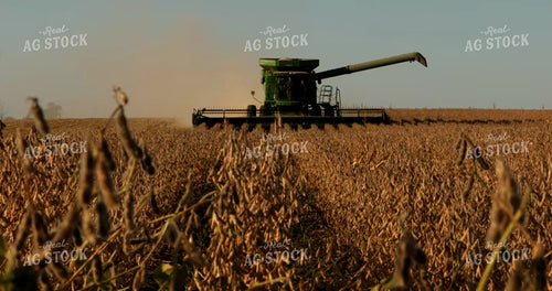 Combine Harvesting Soybeans 5376