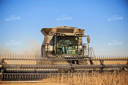 Soybean Harvest 93240
