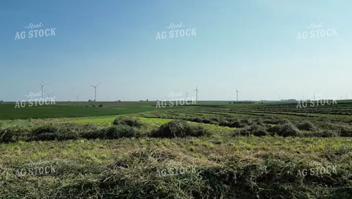 Aerial of Cut Hay Field 268023