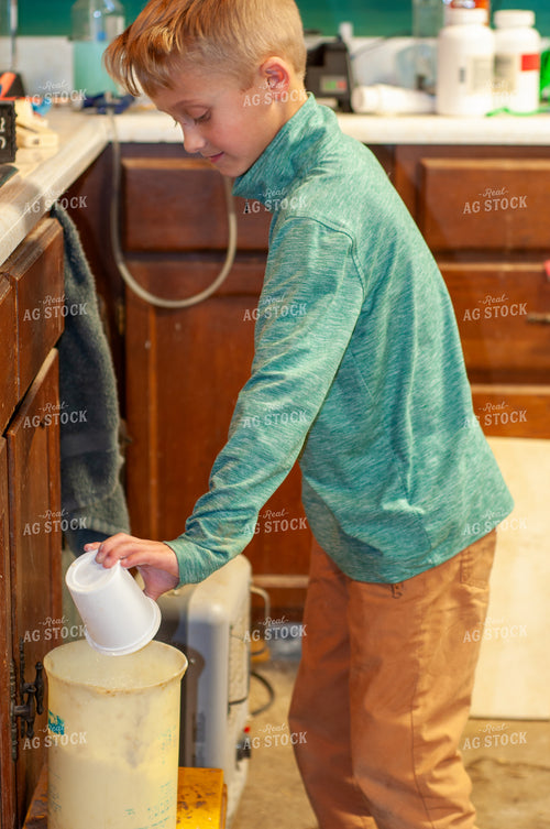 Farm Kid Mixing Milk for Lambs 103101