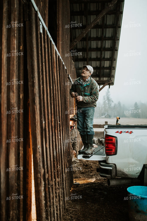 Ranchers Fixing Barn Door 66025